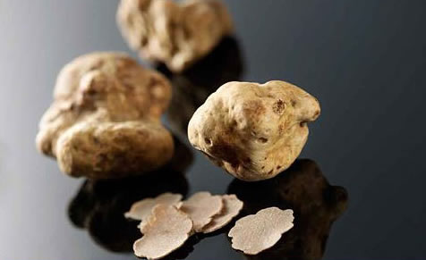 whitetruffle